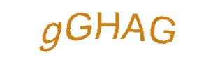 عبارت امنیتی