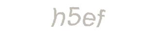 عبارت امنیتی