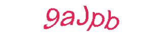 عبارت امنیتی