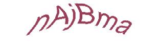 عبارت امنیتی
