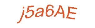 عبارت امنیتی