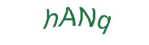 عبارت امنیتی