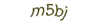 عبارت امنیتی