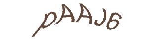 عبارت امنیتی
