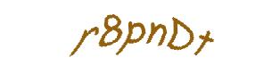 عبارت امنیتی