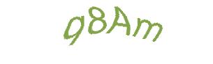 عبارت امنیتی