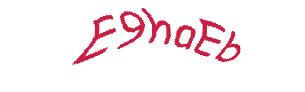 عبارت امنیتی