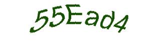 عبارت امنیتی