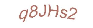 عبارت امنیتی