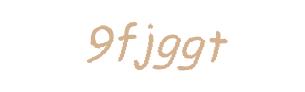 عبارت امنیتی