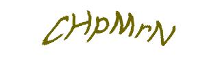 عبارت امنیتی