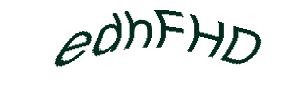 عبارت امنیتی