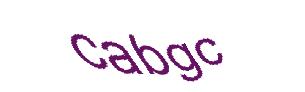عبارت امنیتی