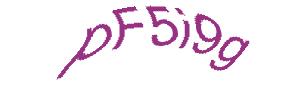 عبارت امنیتی
