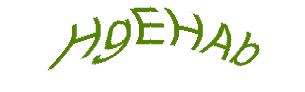 عبارت امنیتی