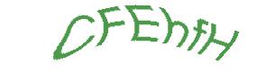 عبارت امنیتی