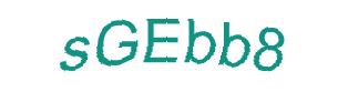 عبارت امنیتی