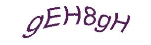 عبارت امنیتی