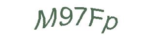 عبارت امنیتی