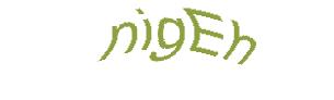 عبارت امنیتی