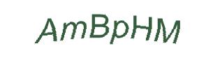 عبارت امنیتی