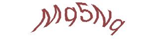 عبارت امنیتی