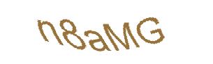 عبارت امنیتی