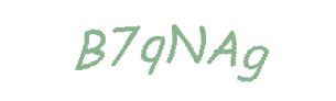 عبارت امنیتی