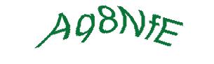 عبارت امنیتی