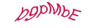 عبارت امنیتی