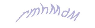 عبارت امنیتی