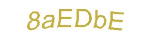 عبارت امنیتی