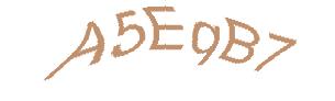 عبارت امنیتی