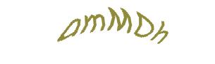 عبارت امنیتی