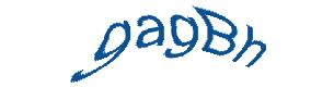 عبارت امنیتی