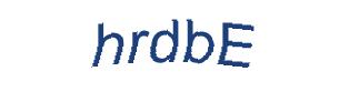 عبارت امنیتی