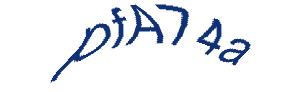 عبارت امنیتی