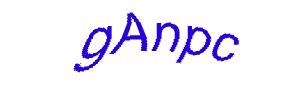 عبارت امنیتی
