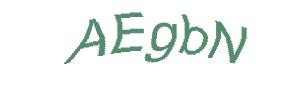عبارت امنیتی
