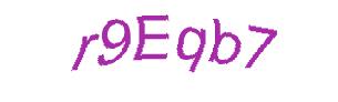 عبارت امنیتی