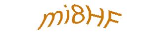 عبارت امنیتی