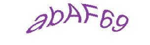 عبارت امنیتی