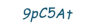 عبارت امنیتی