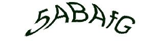 عبارت امنیتی