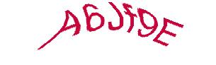 عبارت امنیتی