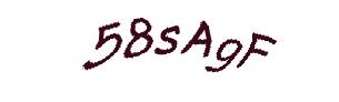 عبارت امنیتی
