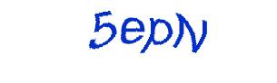 عبارت امنیتی
