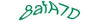 عبارت امنیتی