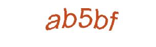 عبارت امنیتی