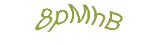 عبارت امنیتی